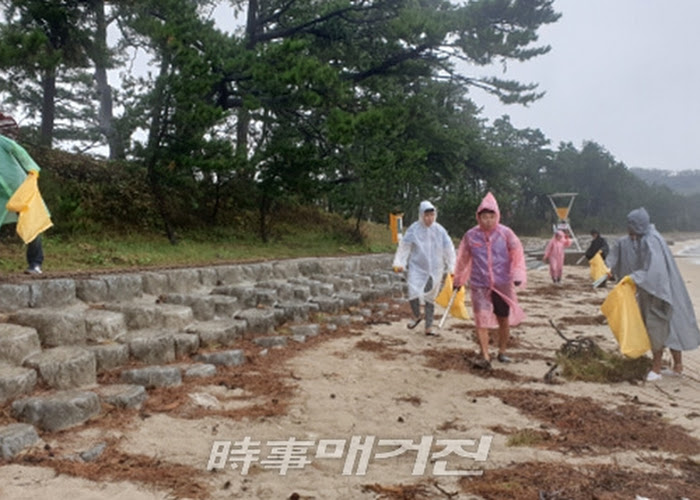 시사매거진